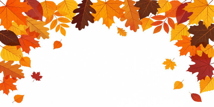 Autumn Leaves Border Vector Background with Copy Space, Colorful Autumnal Maple and Oak Fall Foliage Frame Vector Illustration for Thanksgiving Banner, Poster, Card, and Web Head.