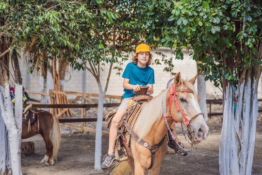 Boy experiences western riding on a palomino horse. Exploring horseback riding through a farm experience.