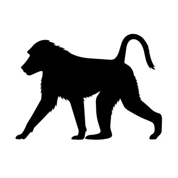 Baboon Walking Side Profile Silhouette