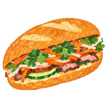 Hand Draw Style Vietnamese Banh Mi Sandwich with Fresh Herbs Illustration