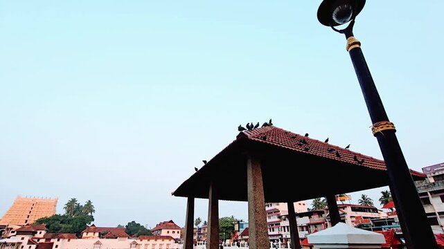 Low Angle View of Pigeons Resting on a Tiled Mandapam Roof by a Street Lamp Post, Moving to Reveal the Distant Sree Padmanabhaswamy Temple over Padma Theertham Tank at Dusk in Kerala