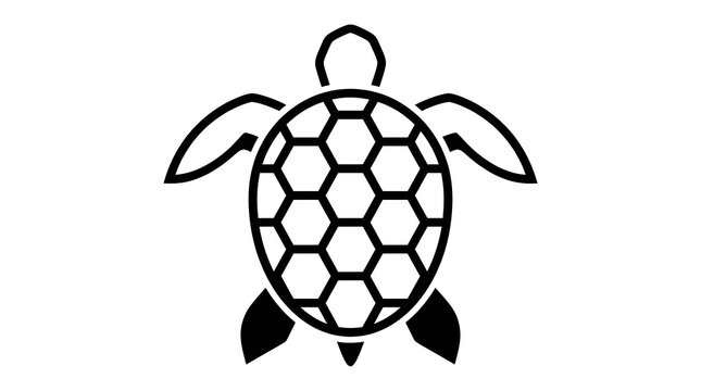 turtle on a white background