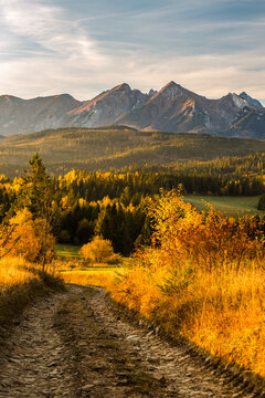 Majestic panoramic view of the Tatra Mountains landscape featuring snow-capped peaks, colorful forests, and picturesque valleys under a dramatic sky. Beautiful scenic nature and wilderness background