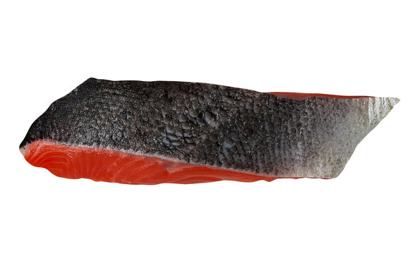 生鮭の切り身 切り抜き。焼き魚や鍋料理のレシピに使える新鮮な生の白鮭・魚介類フード素材 俯瞰