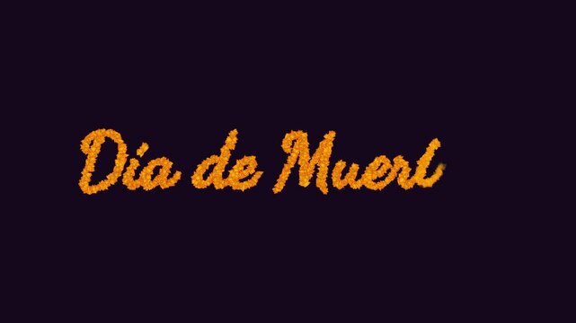 Brush reveal animation writes Dia de Muertos with orange marigold petals on dark and white versions. Spanish text meaning Day of the Dead fits Mexican holiday projects.
