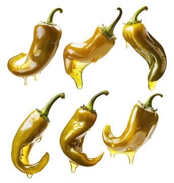 Closeup of green chili pepper coated in oil with droplets dripping from its tip isolated on transparent background.