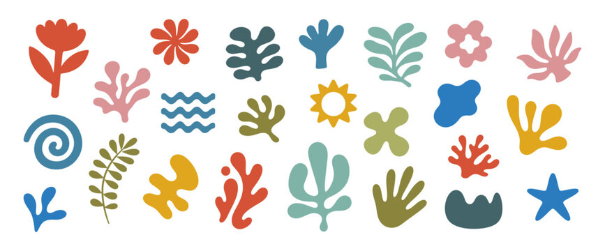 Abstract organic floral and coral shape icon set with colorful tropical boho flowers, leaves, waves and marine elements
