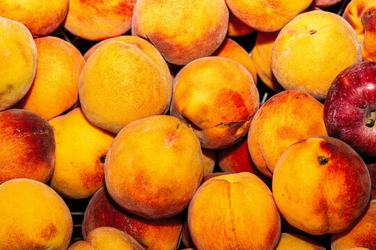 Sweet organic velvet peaches with green leaves harvested in a basket.