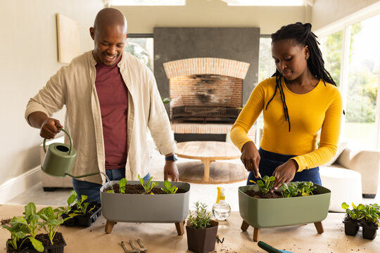 African American couple planting seedlings at living room potting bench, watering with green can