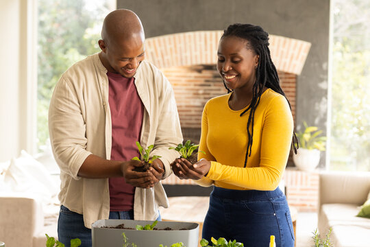 African American couple potting seedlings at home table with planter, holding yellow spray bottle