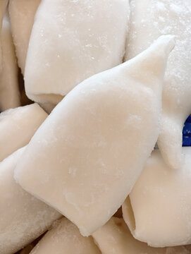 White squid seafood product kept frozen in a supermarket refrigerator display, clean prepared ingredient for culinary recipes