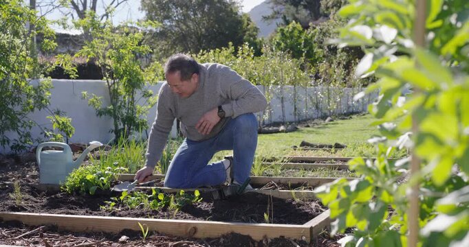 Asian man kneeling in yard checking seedlings using trowel, planting for vegetables