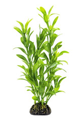 Naklejka premium Vibrant green artificial aquatic plant with slender leaves and a dark textured base, photographed on a clean white background