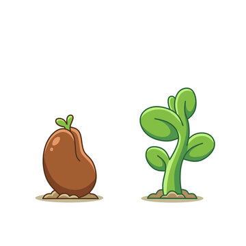 Vector illustration showing the stage of plant growth from a sprouting seed to a growing green plant, symbolising nature, evolution, start-up, and progress.