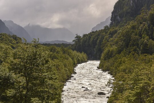 Rio Exploradores flows through rainforest at Puerto R&iacute;o Tranquilo, Valle Exploradores, Parque Nacional Laguna San Rafael, Patagonia, Chile