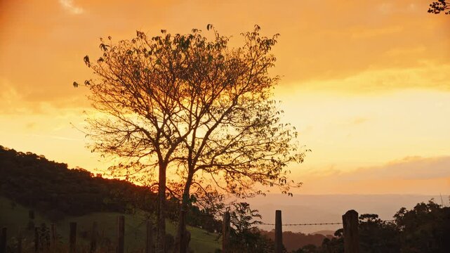 P&ocirc;r-do-Sol