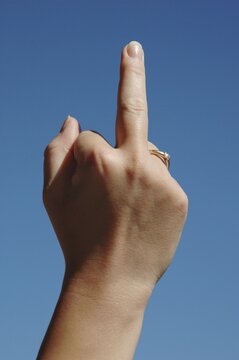 Give so. the bird