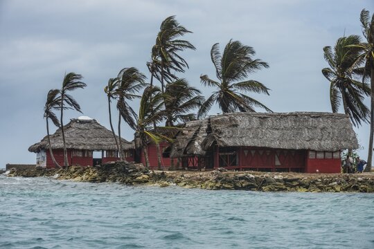 Traditional huts under palm trees, Achutupu, San Blas islands, Kuna Yala, Panama