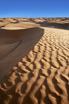 Sand dunes of Grand Erg Oriental near the oasis of Ksar Ghilane, Sahara desert, Tunisia