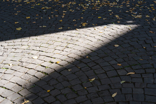 Sunlight beam on old cobblestone street surface with autumn leaves fall