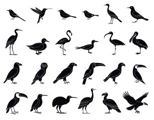 Fototapeta premium Set of black bird silhouettes for nature design projects and wildlife