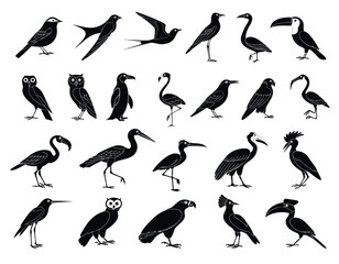 Fototapeta premium Set of black bird silhouettes collection for wildlife design and