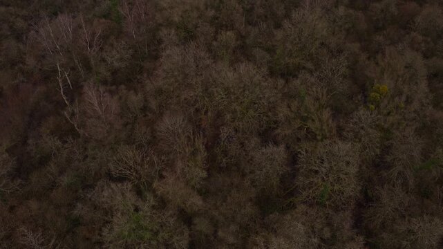 Verdun (France) | Drone 