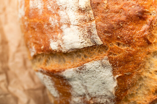 Fresh sourdough bread crust fills frame in macro view, showing browned ridges and crisp baked texture. Bakery marketing can emphasize artisan quality, wheat baking, rustic food and rich surface.