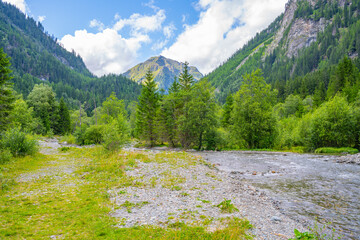 Naklejka premium In the Weisspriach Valley, tall trees line the riverbank. The sunlight shines on the mountains and clouds above. Visitors can explore the trails and enjoy the scenery in Austria.