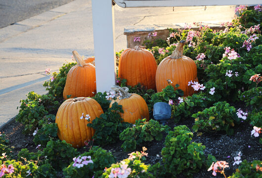 pumpkin decor