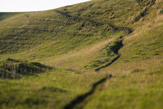 Narrow winding trail crossing tranquil grassy hillside valley.