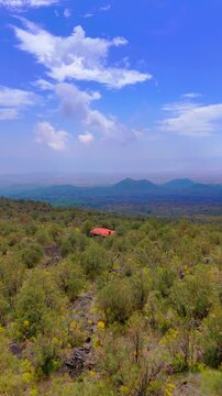 Aerial drone view of Mediterranean volcanic vegetation and distant craters on Mount Etna Sicily