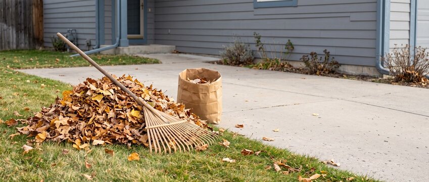 Leaf pile beside house walkway with rake and yard waste bag  