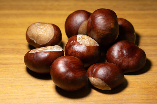 Close-up of ripe horse chestnuts scattered on a warm wooden table. Dramatic side lighting highlights the texture and rich brown tones of these autumn seeds.