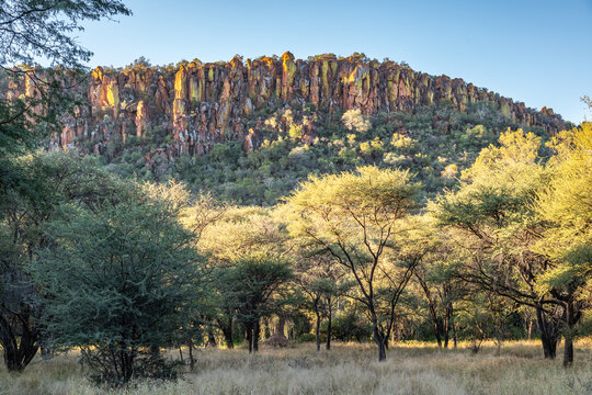 Golden Hour at Waterberg Plateau with Barberton Lowveld Sugarbush