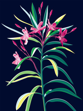 Bright fashionable modern poster with oleander flowers  and leaves on a dark blue background. Сontemporary expressive trendy style. Handmade drawing vector illustration.
