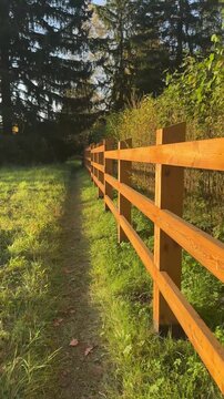 Wooden fence along grassy path in autumn park at sunset