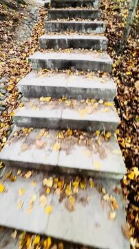 Blurred motion view of stone steps covered with autumn leaves in park