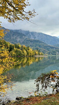 Mature deciduous trees with autumn foliage by a scenic alpine lake in Europe