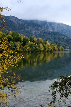 Mature deciduous trees with autumn foliage by a scenic alpine lake in Europe