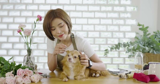 Young asian florist gently petting cuddling a small dog at her worktable, flower arrange table with roses, greenery, floral tools, and craft supplies creating a cozy workspace.