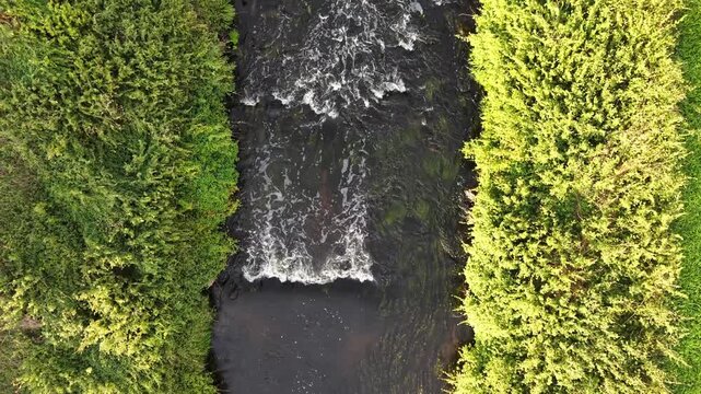 Aerial view of mountain river flowing from a small rocky rapid through lush green vegetation in a natural landscape. Drone footage tracks dark water moving from foamy rapids into a calmer channel bord