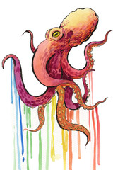 watercolor octopus, hand drawn octopus, original watercolor, traditional art, sea creature illustration, colorful octopus art, marine wildlife art, aquatic animal, fish on white background, isolated o © berdsigns
