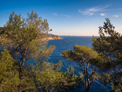 Depuis un promontoire bois&eacute; de pins, la vue s'ouvre sur les eaux &eacute;tincelantes de la mer M&eacute;diterran&eacute;e, o&ugrave; les reflets argent&eacute;s du soleil cr&eacute;ent une atmosph&egrave;re paisible et &eacute;vocatrice de vacances estival