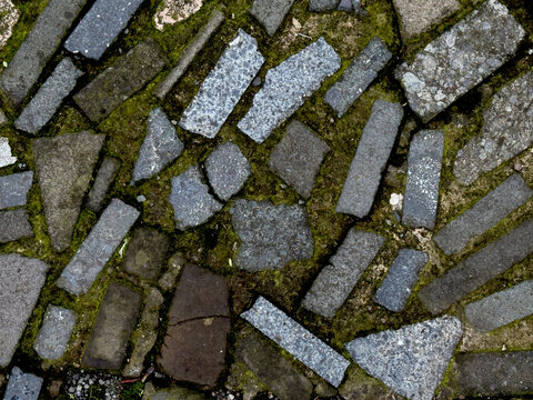 Irregular gray and brown stone pavers with green moss in between