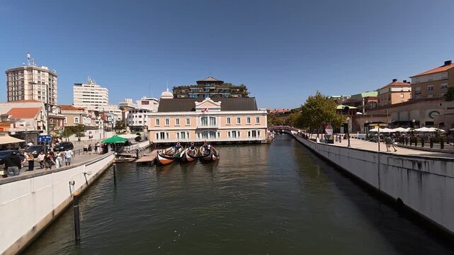 Moliceiro boats moored on the Central Canal in Aveiro, Portugal, with pastel buildings under a clear blue sky