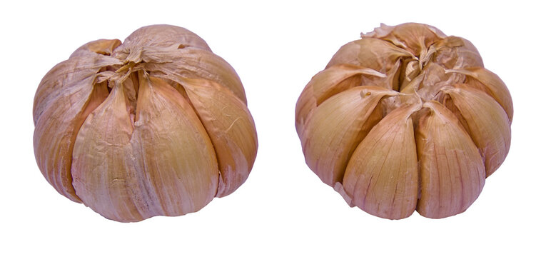 Two whole garlic bulbs isolated on transparent background, raw organic spice ingredient PNG