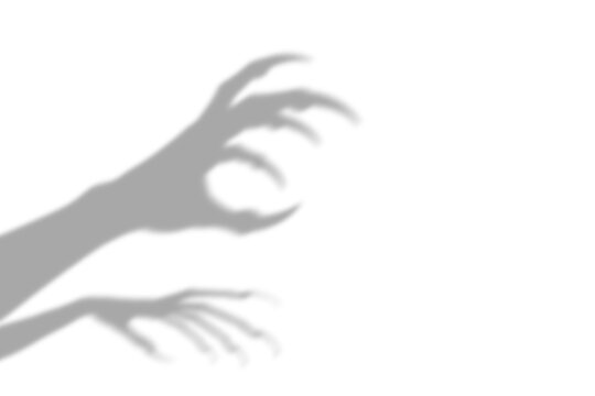 A frightening halloween shadow effect featuring scary hands with extended nails and creepy monster claws creating a spooky and terrifying silhouette on a transparent backdrop