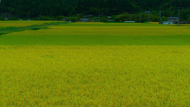 古里の景観