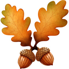 Oak leaf acorns. © BUTSABA_SHOP